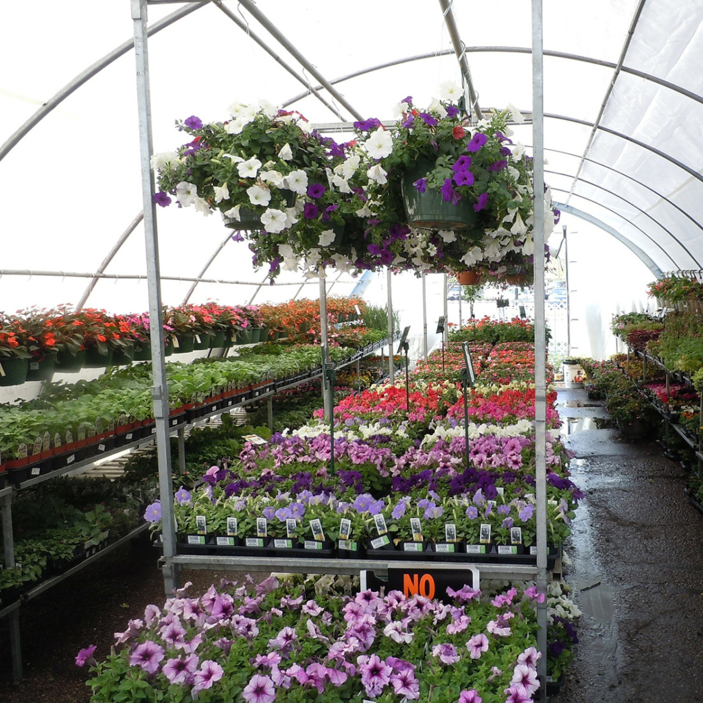 Best Gardens Интернет Магазин Цветов Best Gardens Интернет Магазин Цветов